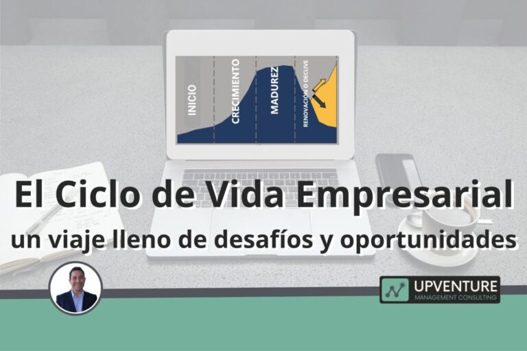 Ciclo de Vida Empresarial